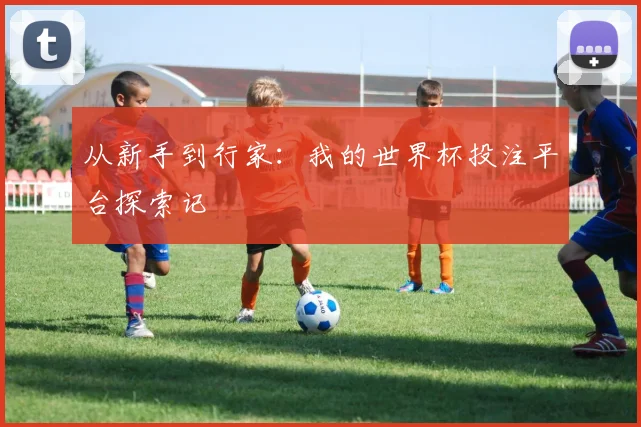 从新手到行家：我的世界杯投注平台探索记