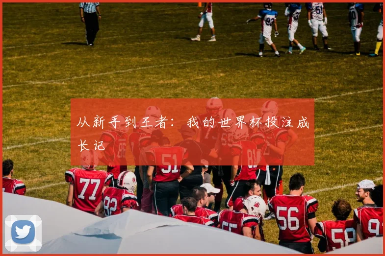 从新手到王者：我的世界杯投注成长记