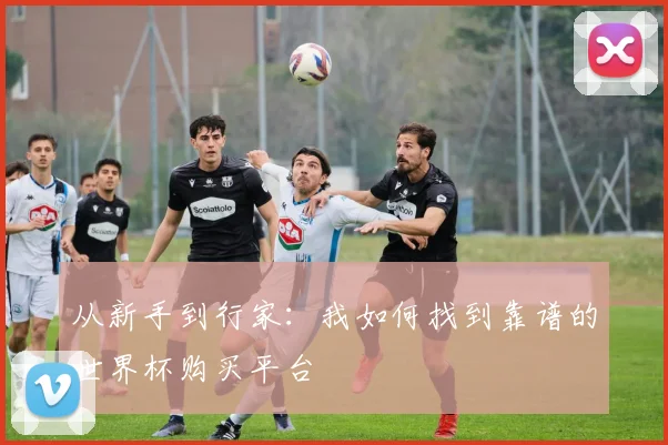 从新手到行家：我如何找到靠谱的世界杯购买平台
