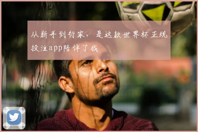 从新手到行家，是这款世界杯正规投注app陪伴了我