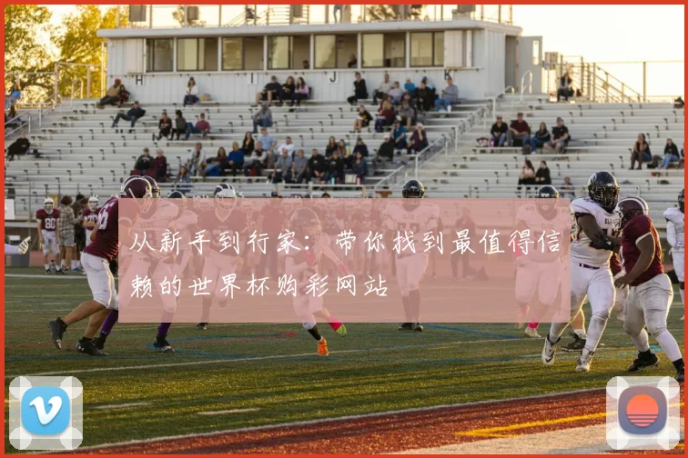 从新手到行家：带你找到最值得信赖的世界杯购彩网站
