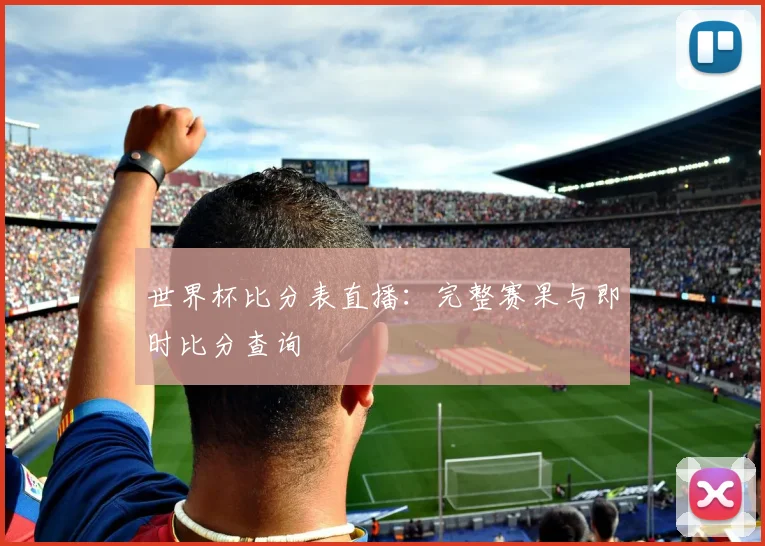 世界杯比分表直播:完整赛果与即时比分查询